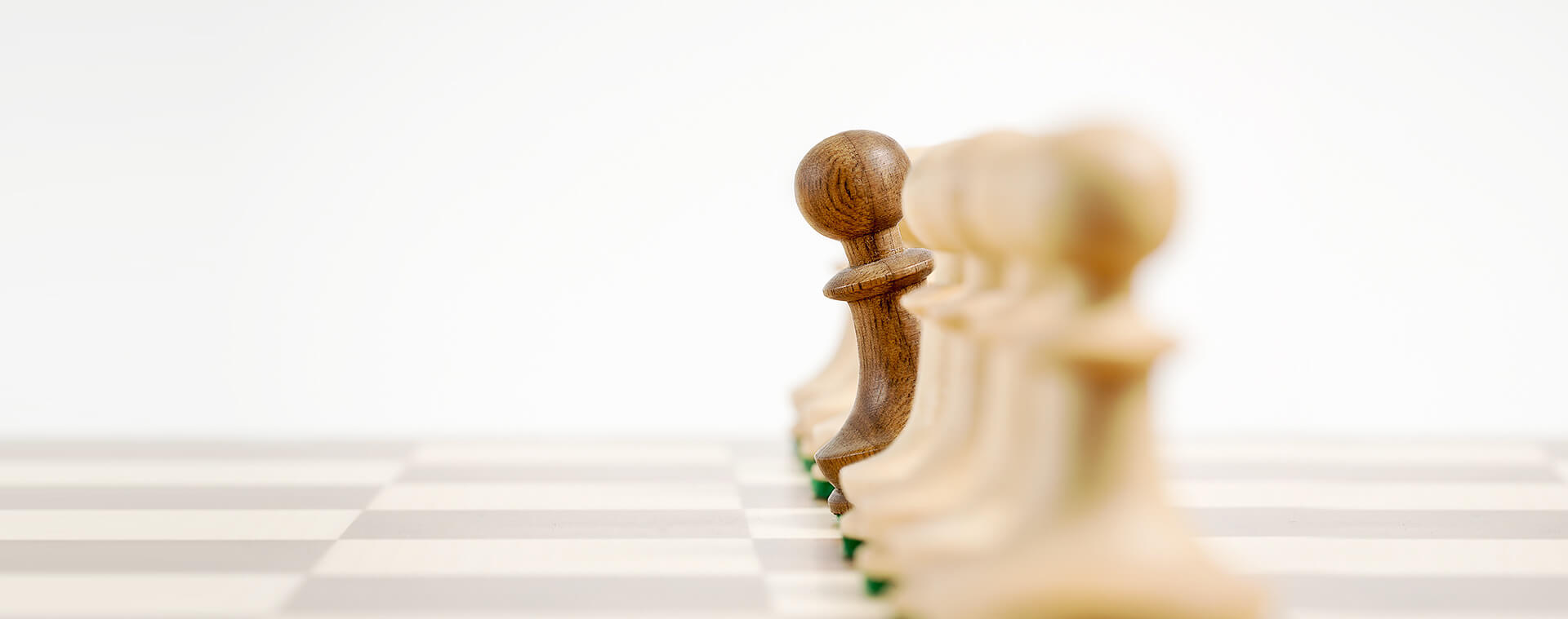 Dobra polecana księgowa janów lubelski opole lubelskie